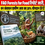 FAO Forests for Food रिपोर्ट जारी, वन संसाधन ग्रामीण आय का 20% योगदान देते हैं