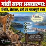Gandhi Sagar Sanctuary: स्थिति, क्षेत्रफल, दर्जा एवं महत्वपूर्ण तथ्य