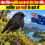 Black Robin न्यूजीलैंड 2026 का ‘बर्ड ऑफ द ईयर’ घोषित, जानिए इस पक्षी के बारे में क्या है खास?