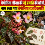 बेगोनिया जीनस की नई प्रजाति की खोजी, नाम रखा गया Begonia rajvikramanii