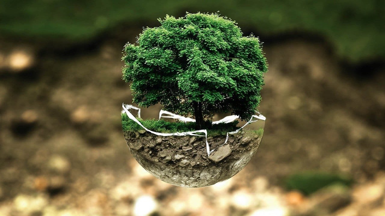 World Environmental Health Day 2026