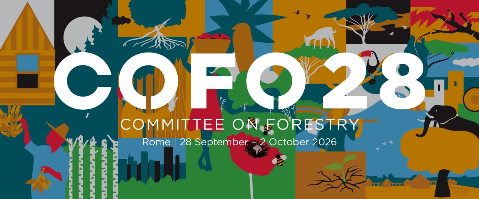FAO COFO 28