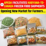APEDA Facilitates Haryana-to-Canada Frozen Food Shipments, Opening New Market for Farmers