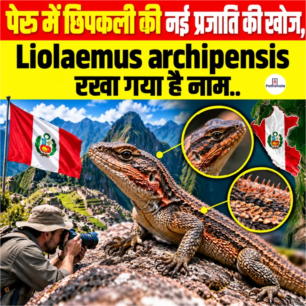 Liolaemus archipensis