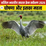 All India Sarus Crane Survey 2026 की घोषणा, क्या है इसका महत्व?