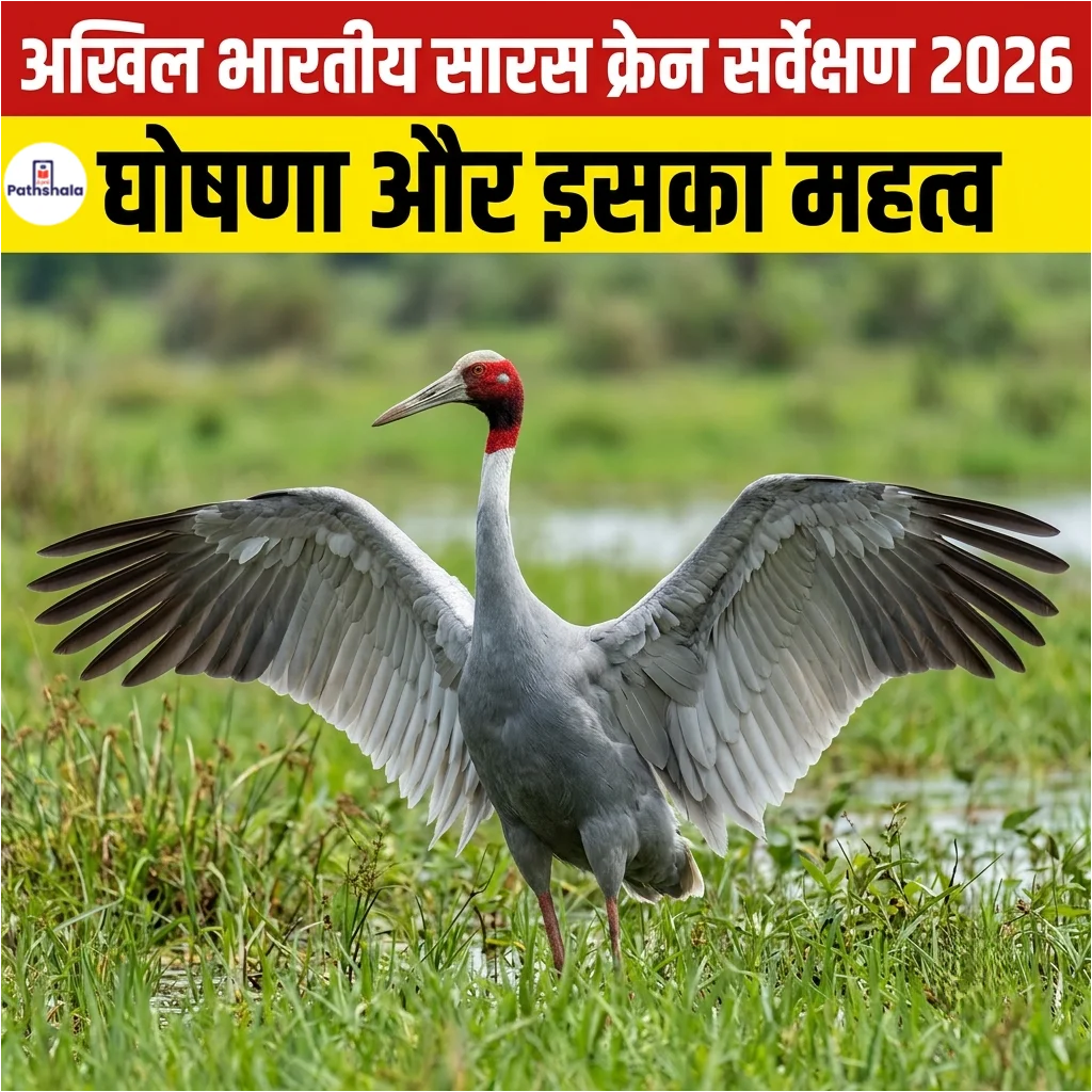 All India Sarus Crane Survey 2026