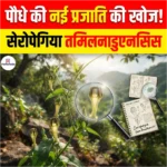 पौधे की नई बारहमासी शाकीय प्रजाति की खोज, ‘Ceropegia tamilnaduensis’ रखा गया है नाम 