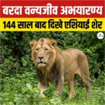 Barda Wildlife Sanctuary: 144 साल बाद दिखे अभयारण्य में एशियाई शेर 