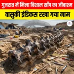 गुजरात में मिला विशाल साँप का जीवाश्म, Vasuki Indicus रखा गया है नाम