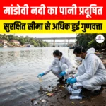 Mandovi River Water Pollution: गोवा की मांडोवी नदी की चिंताजनक स्थिति, पानी की गुणवत्ता निर्धारित सुरक्षित सीमा से अधिक हुई