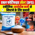 Double Fortified Salt (DFS): एनीमिया-आयोडीन कमी से निपटने के लिए प्रभावी