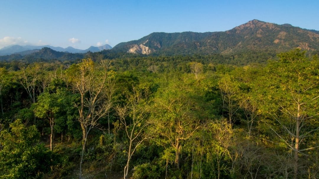 Buxa Tiger Reserve