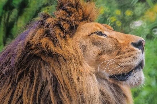 Barda Wildlife Sanctuary