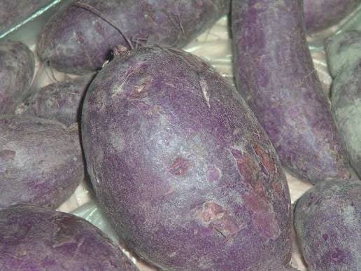 Kufri Jamunia Purple Potato