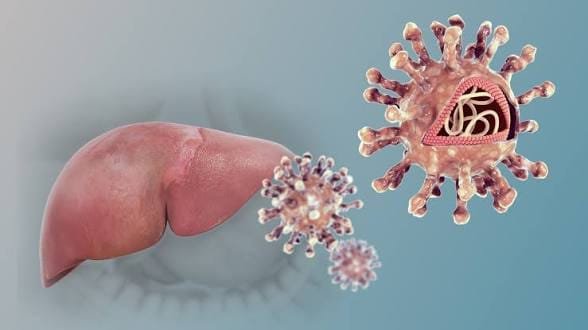 Chronic Hepatitis B