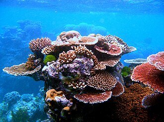 IUCN Red List of Ecosystems 2026